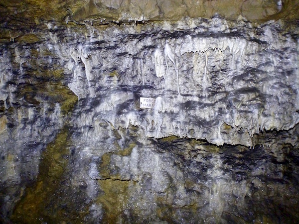 forest marble